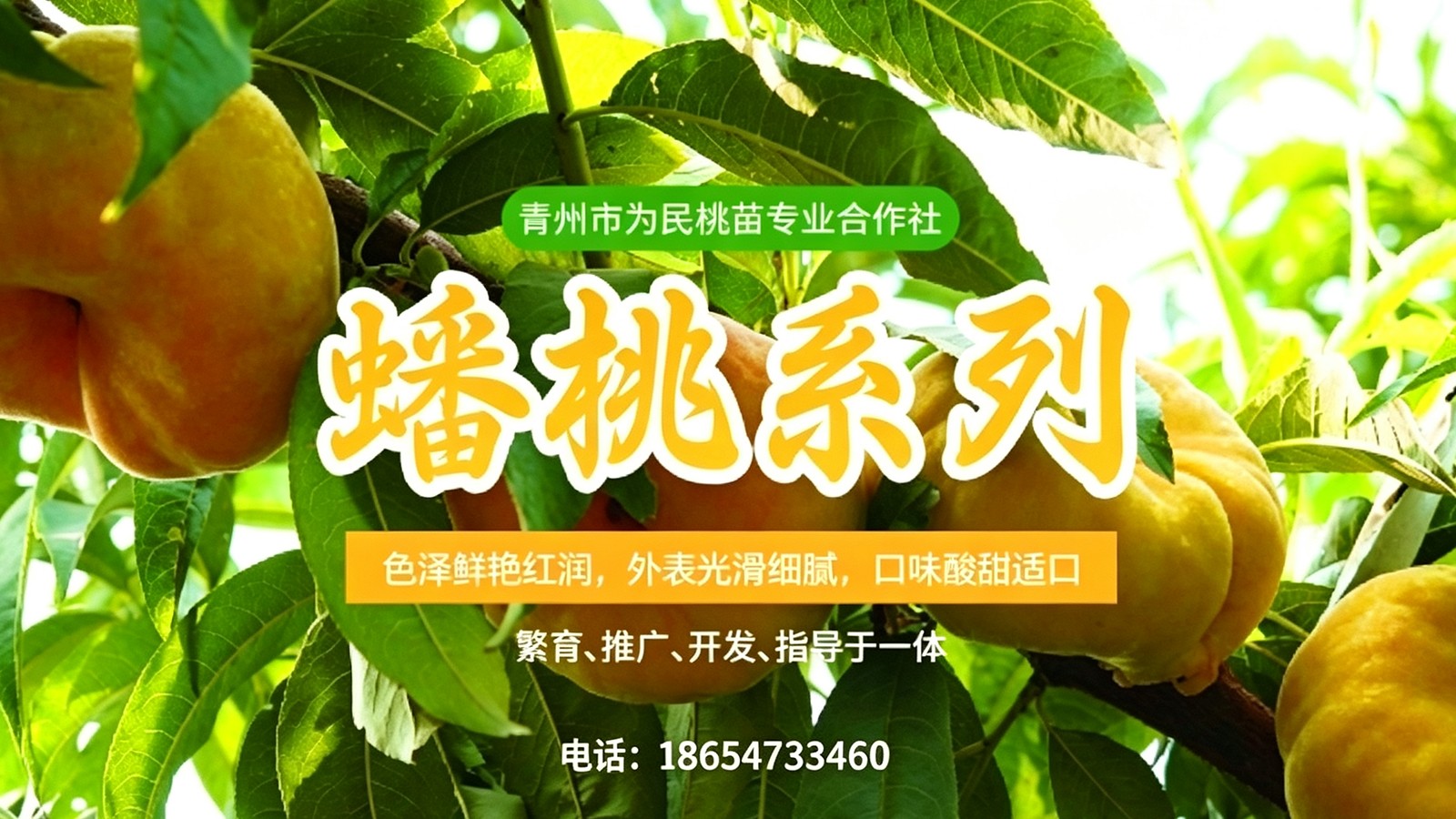 育苗场景示意