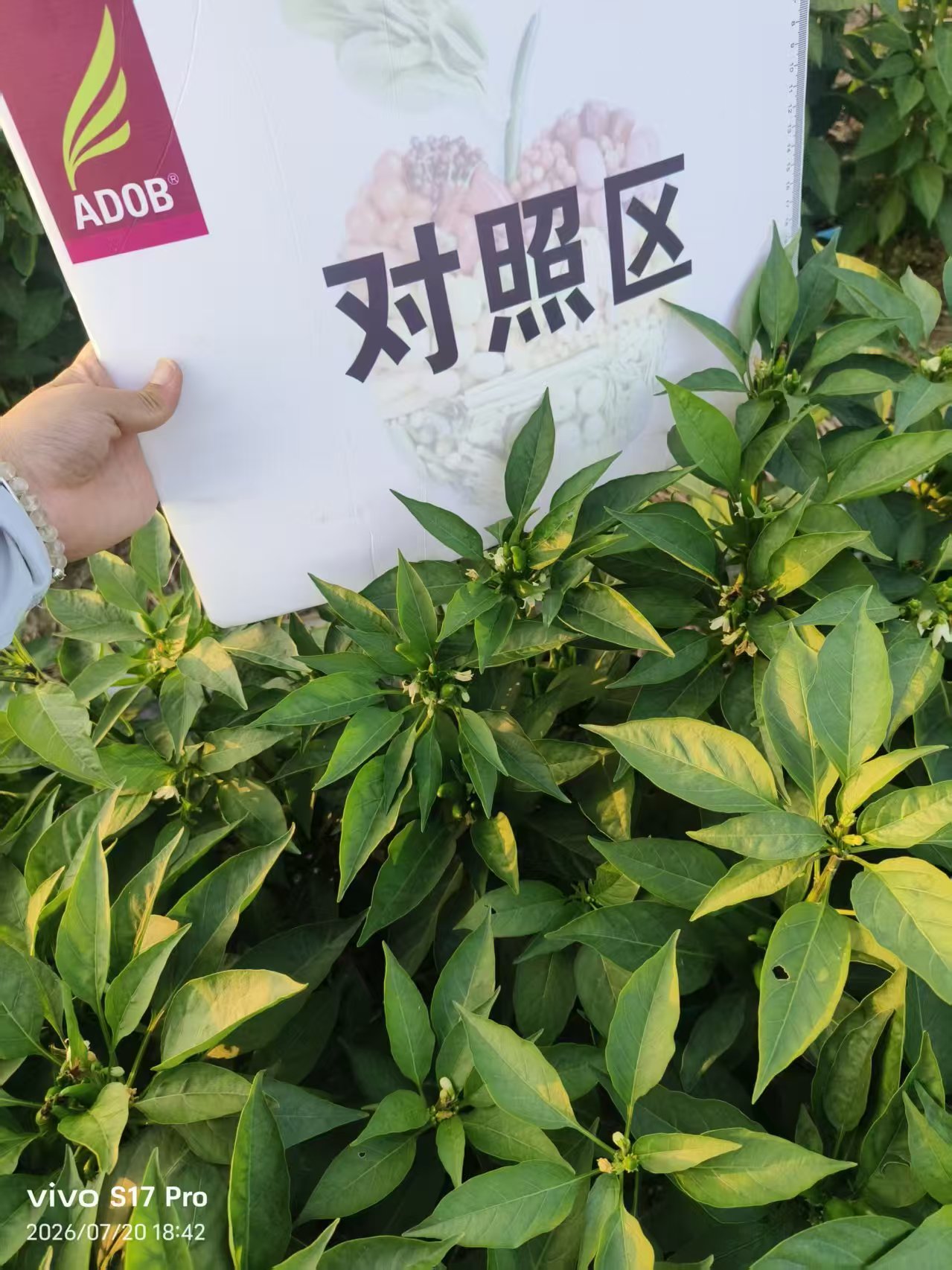 农业生产支持