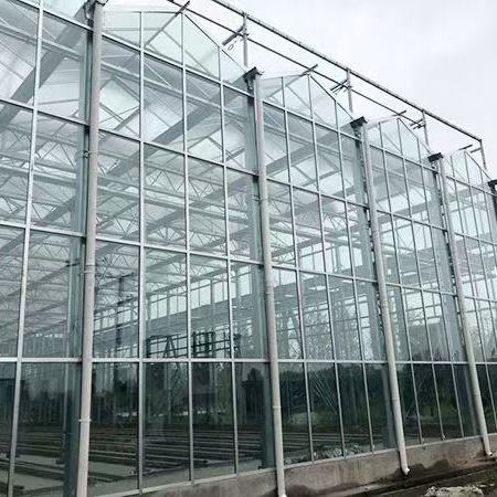 奎文薄膜温室整改厂家-a字架种植大棚