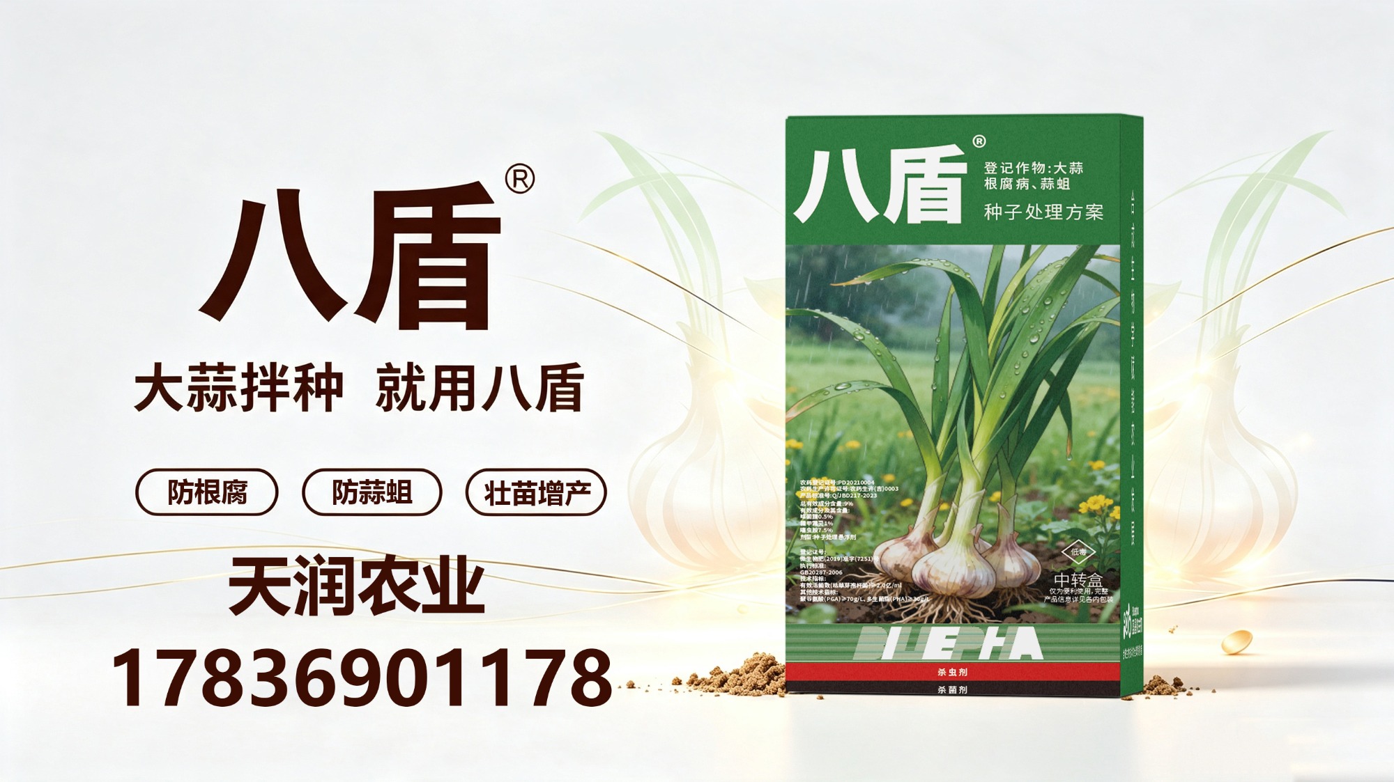 花生拌种作业实景