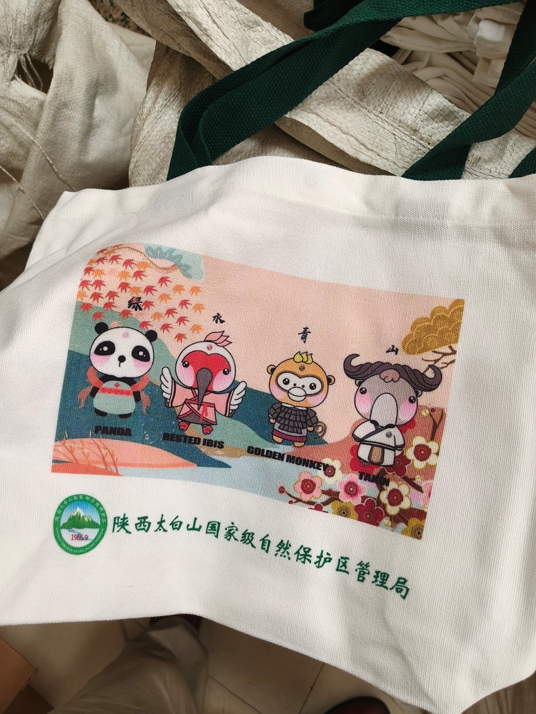 纺织面料生产线实景