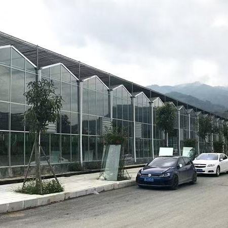 项城市草莓种植大棚