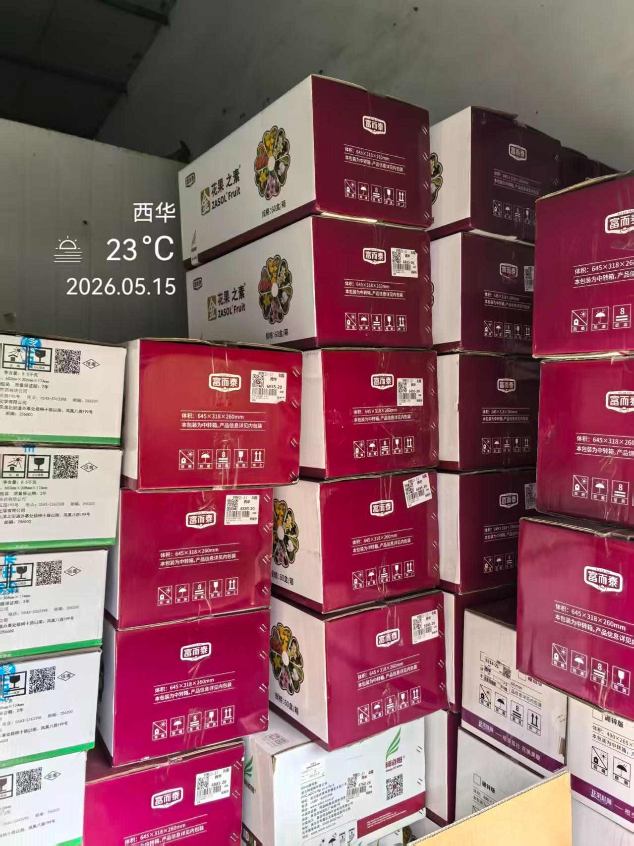小麦播种现场