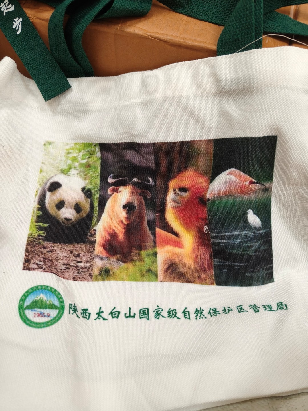 纺织生产实景