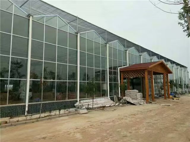 温室工程案例展示