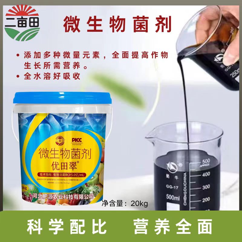 腐植酸有机肥料实物与应用效果