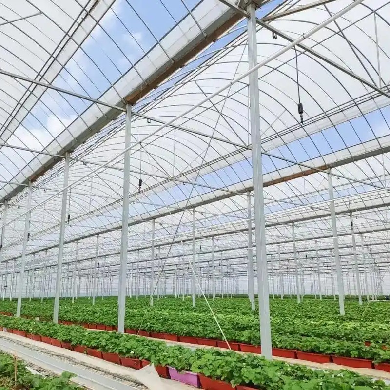 温室骨架结构展示