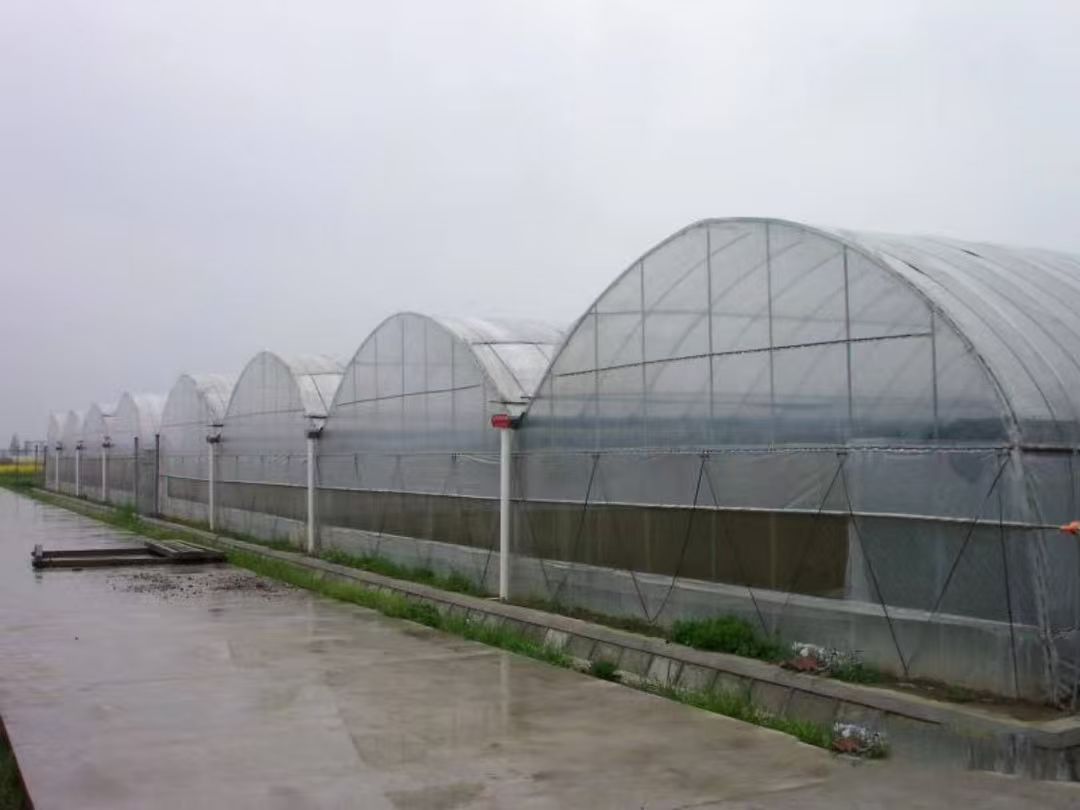 现代智能玻璃温室实景