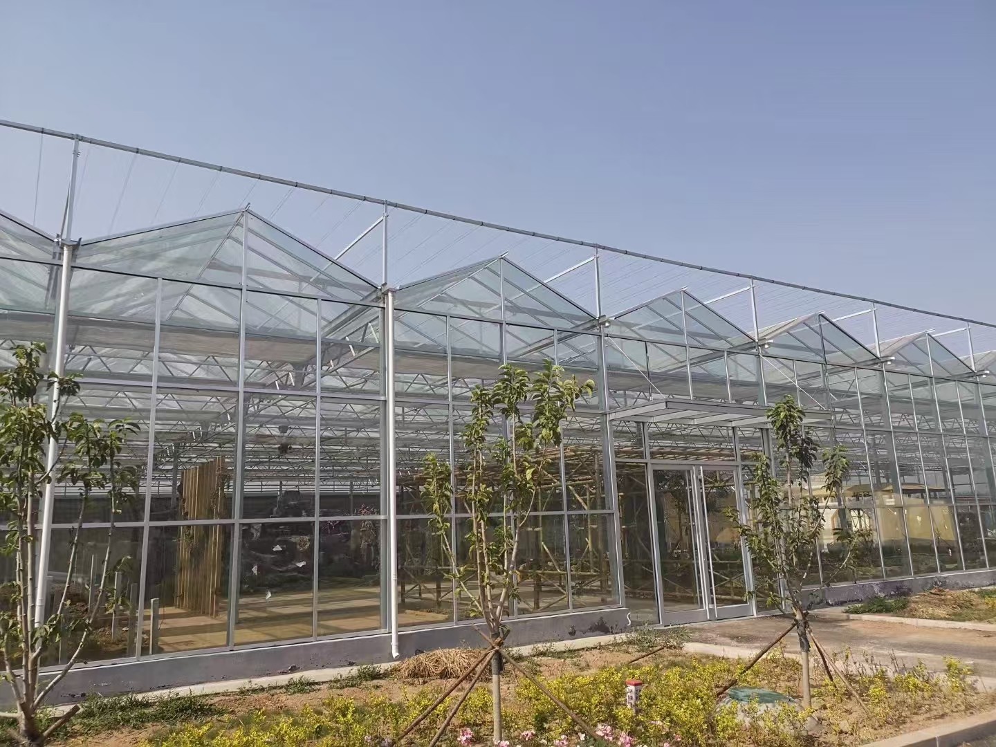Modern Smart Greenhouse Structure