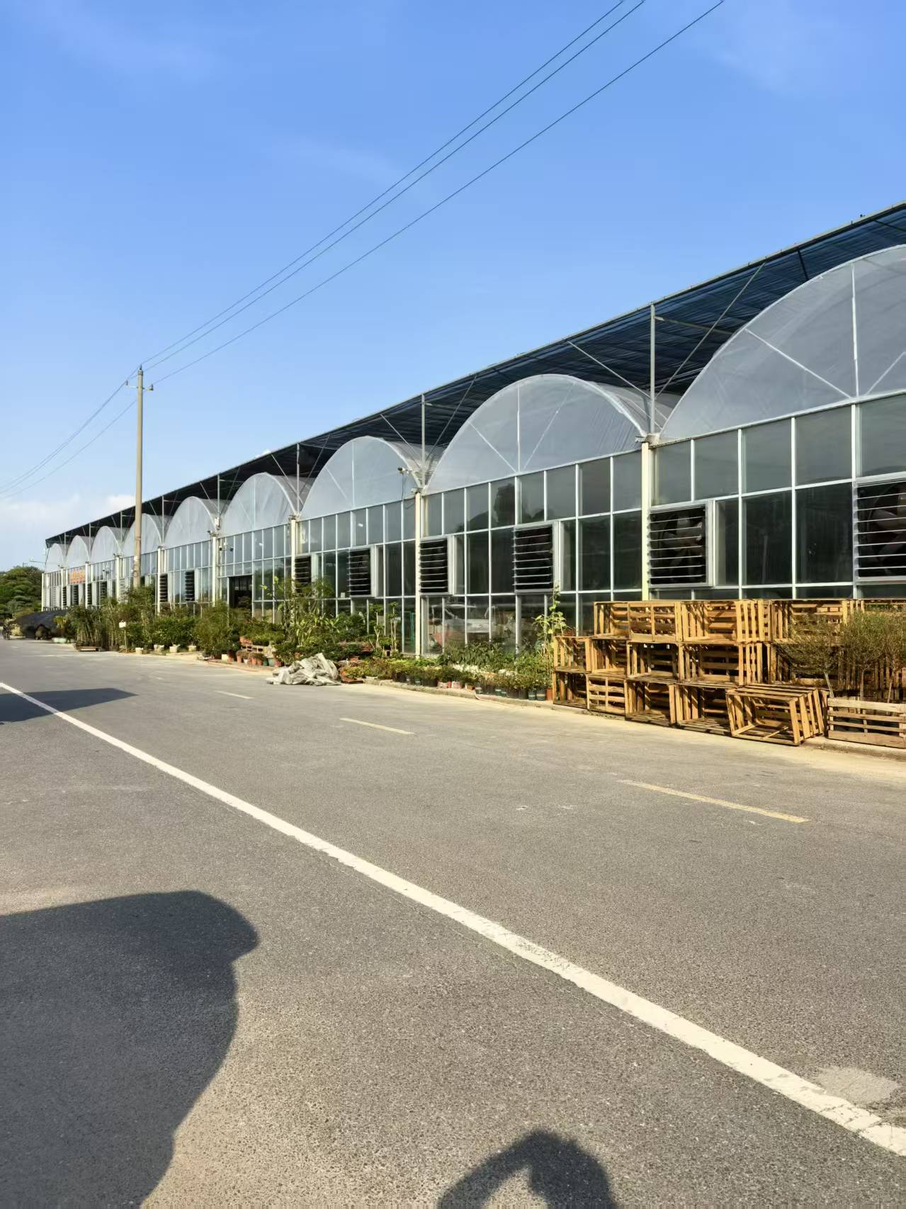 温室骨架结构示意图