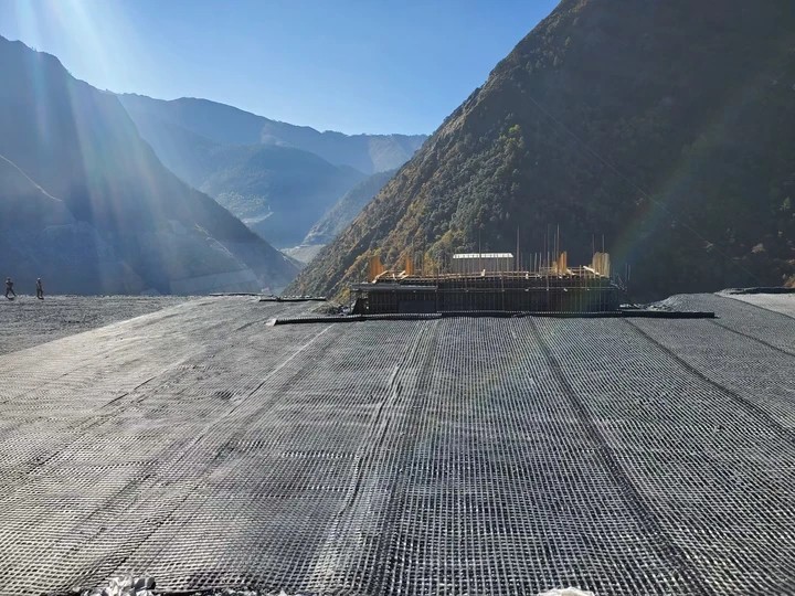 Steel-plastic geogrid application