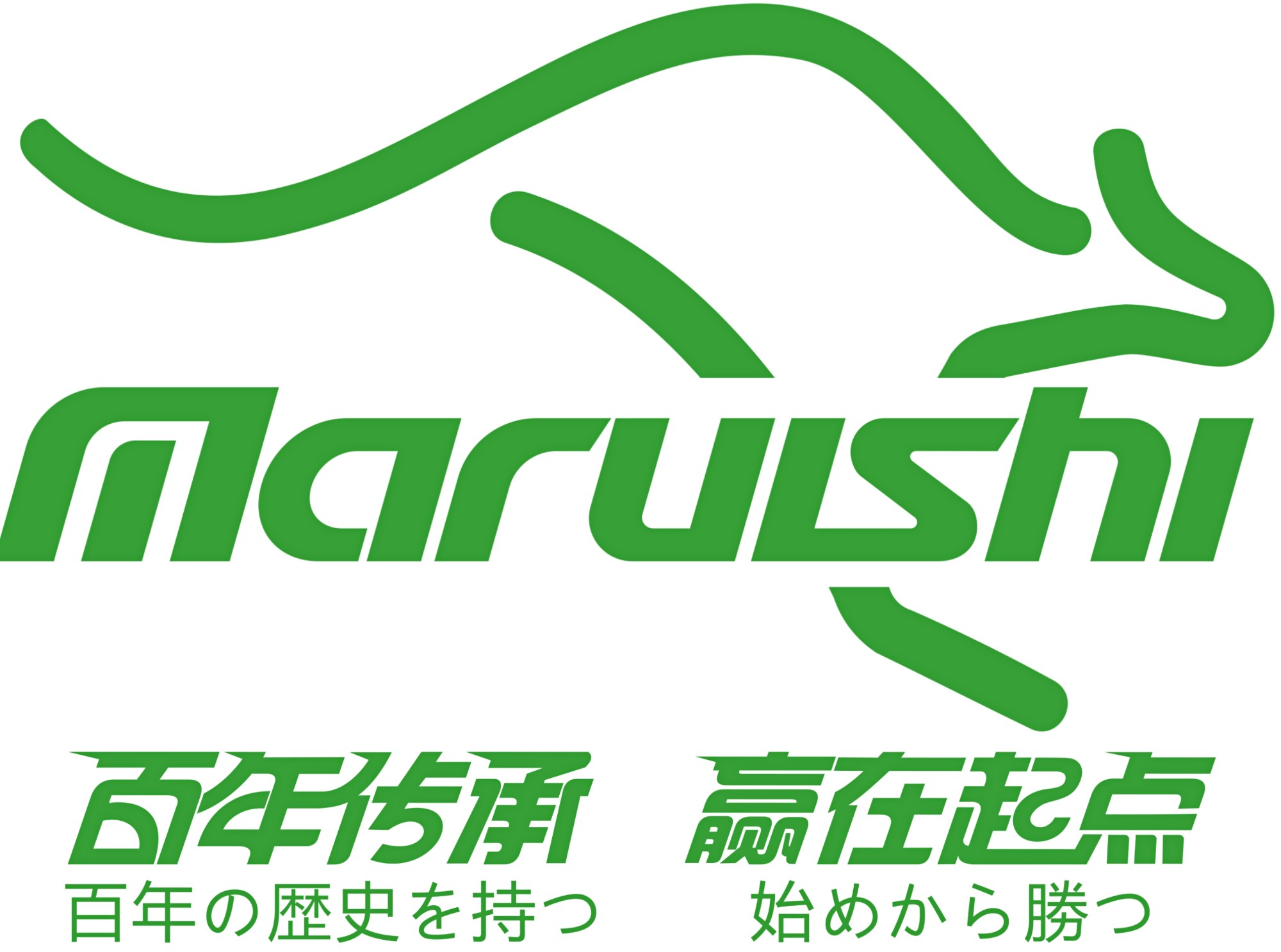轴传动内部结构示意