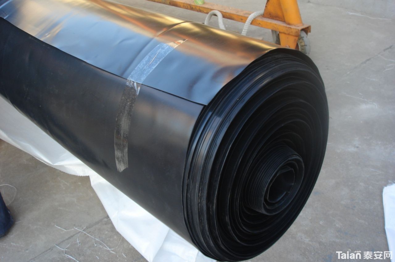 pe geogrid