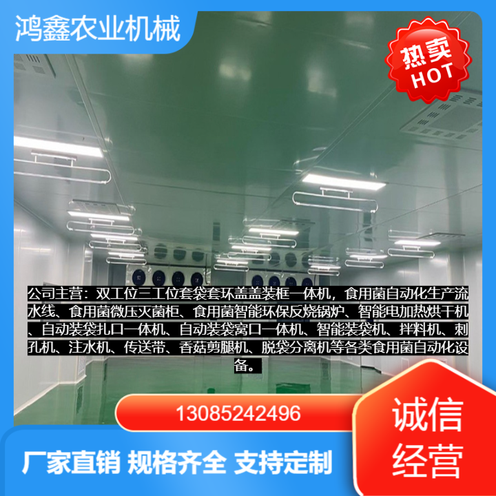 自动化装袋生产线