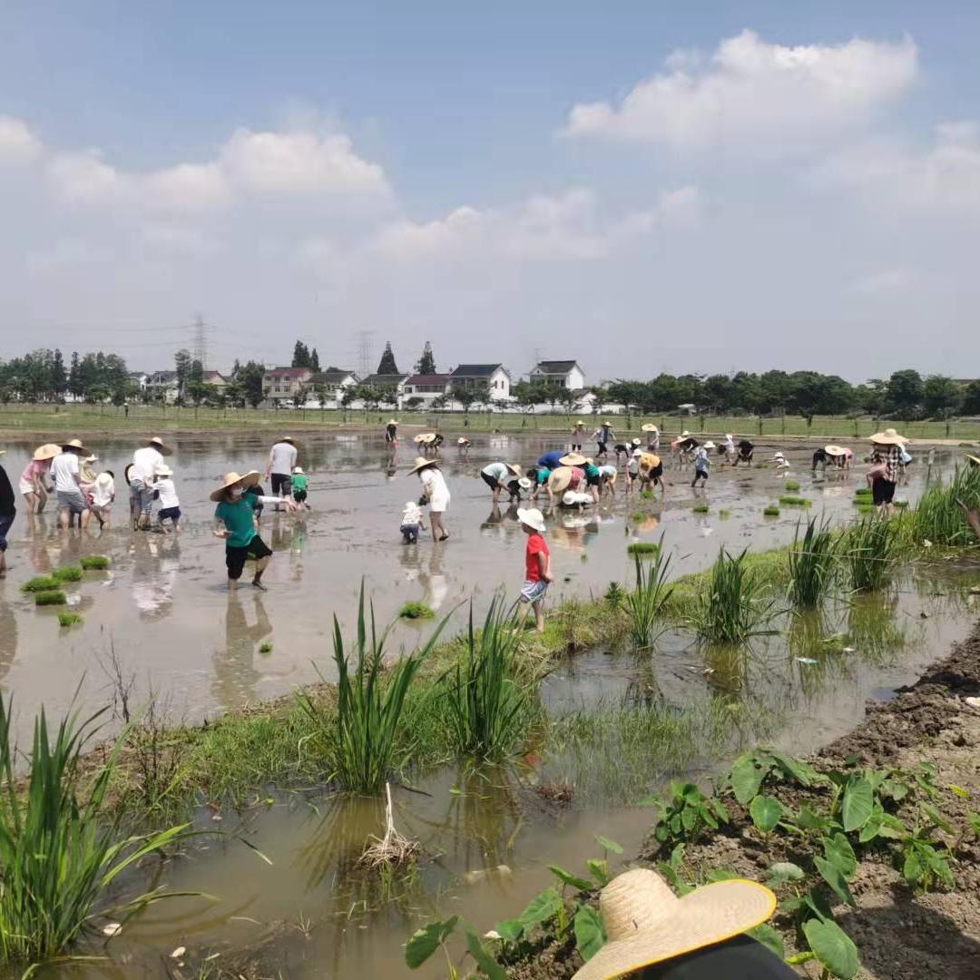 田园休闲场景