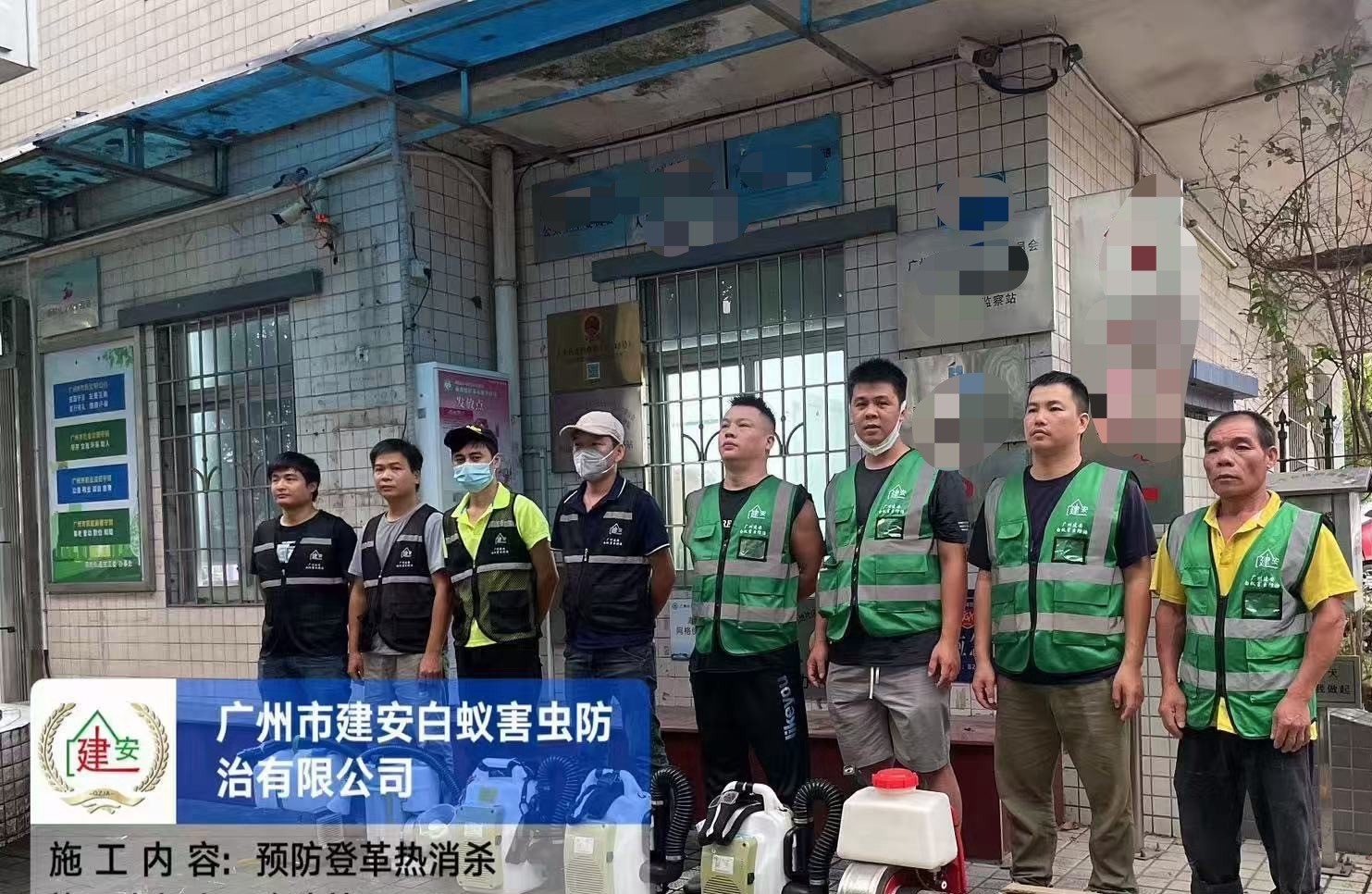 专业虫害治理现场