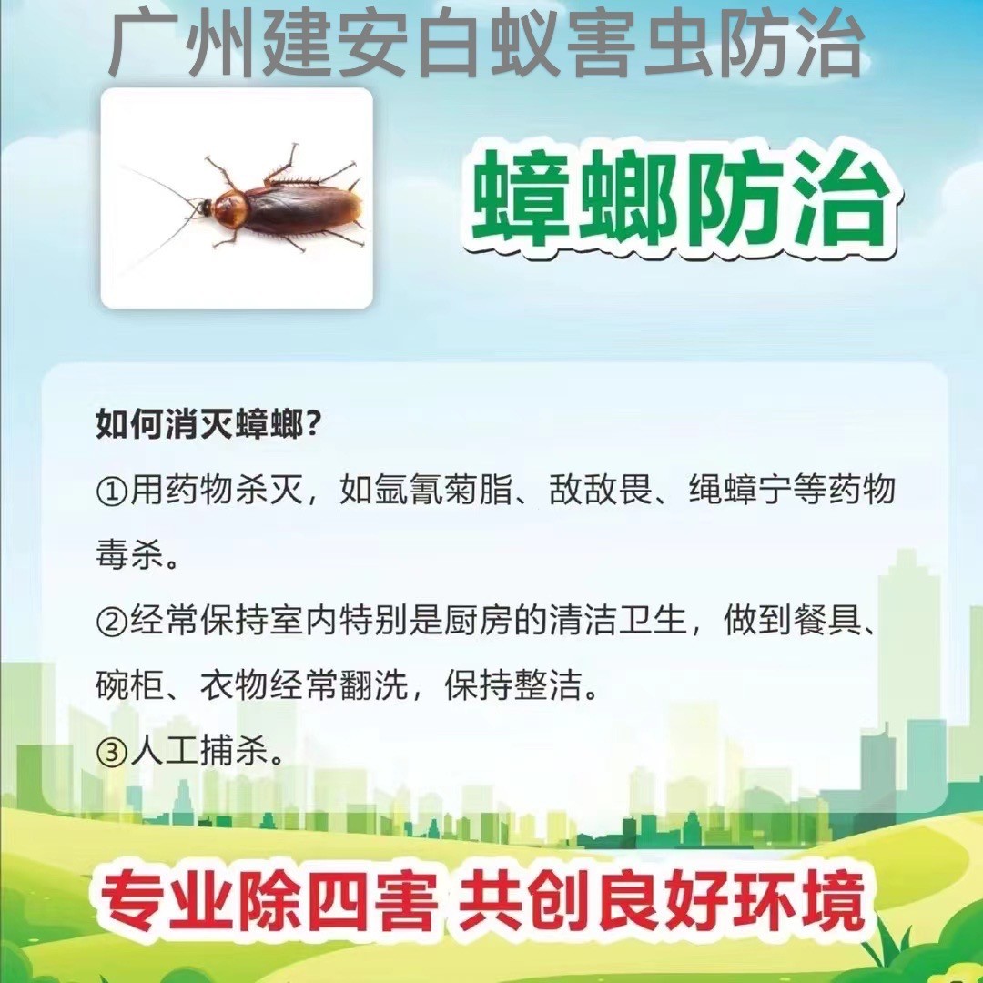白蚁**现场勘查与服务流程图