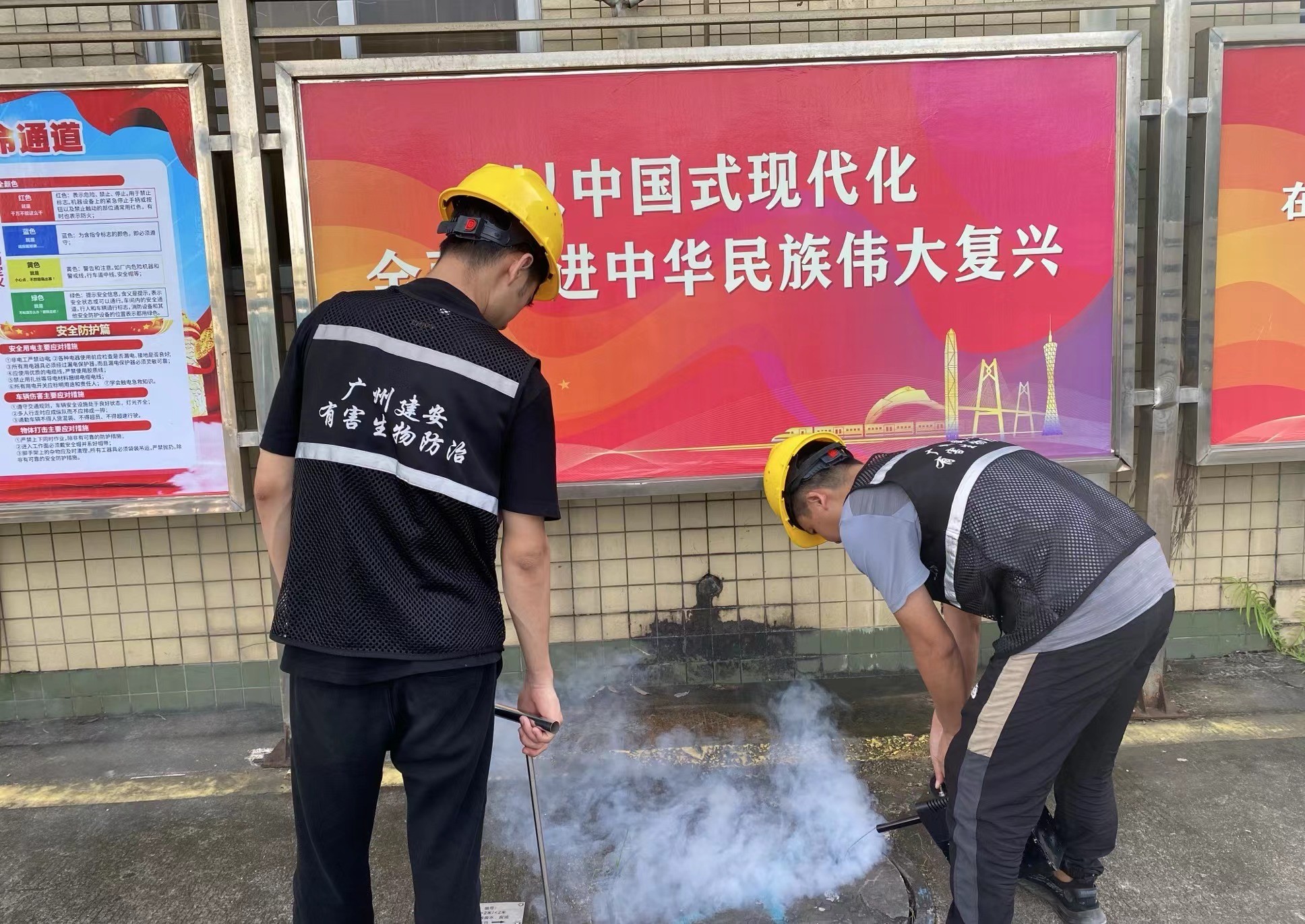 专业虫害**作业