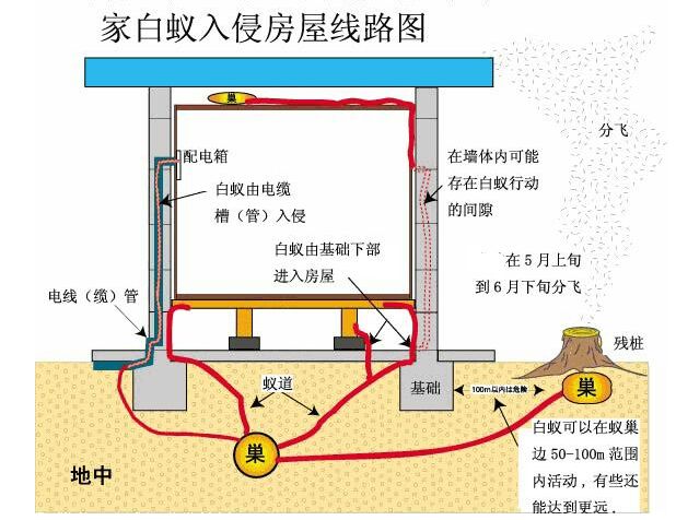 苍蝇消杀现场作业参考