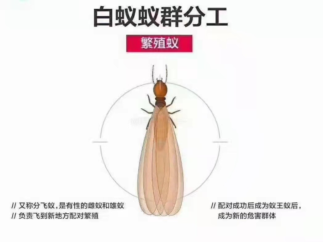 专业施工作业现场