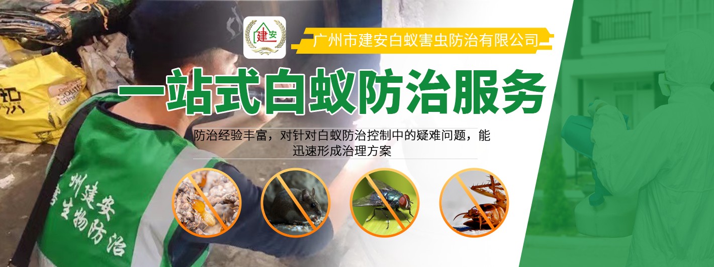 专业虫鼠**施工现场