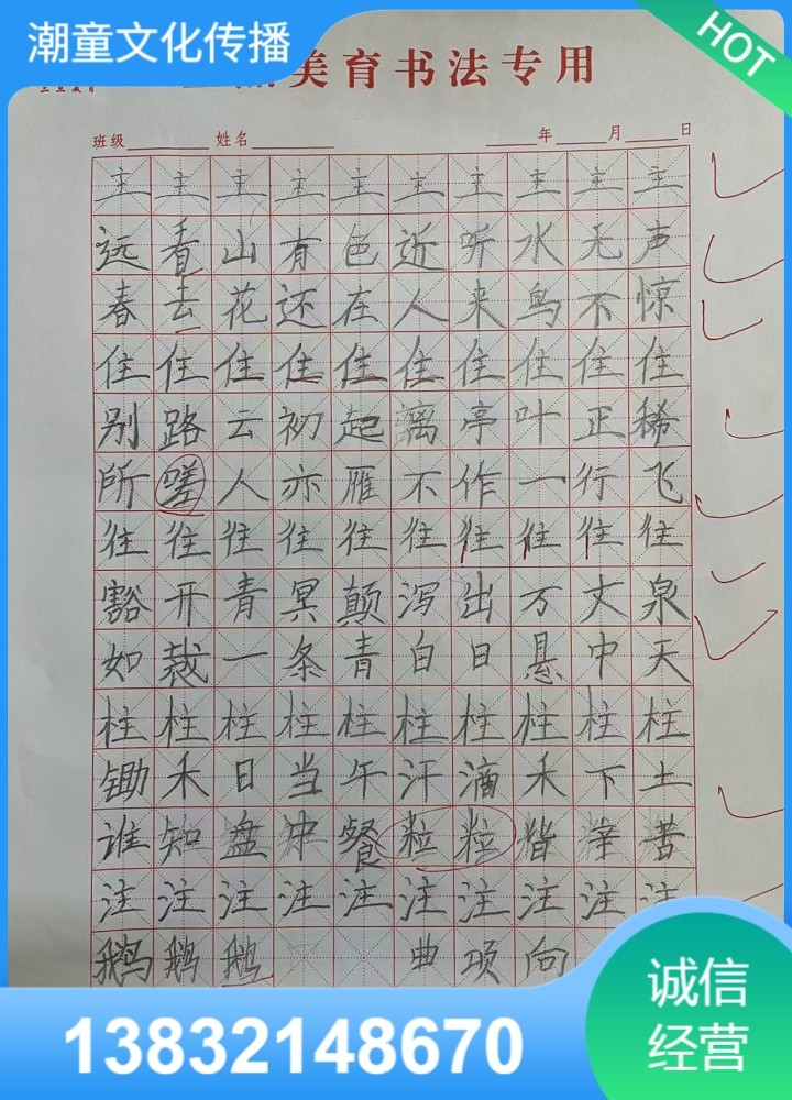 Training Process