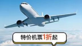 无陪儿童机票服务流程示意图