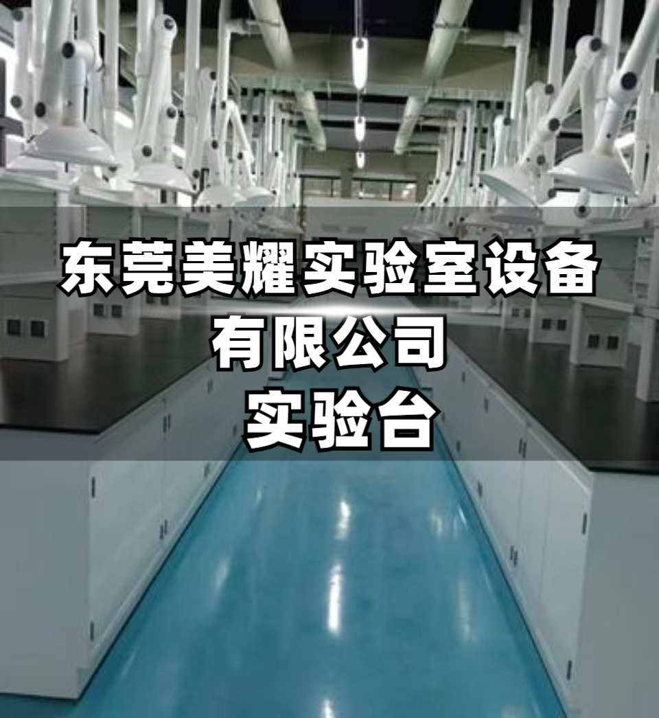 现代化实验室规划实景图