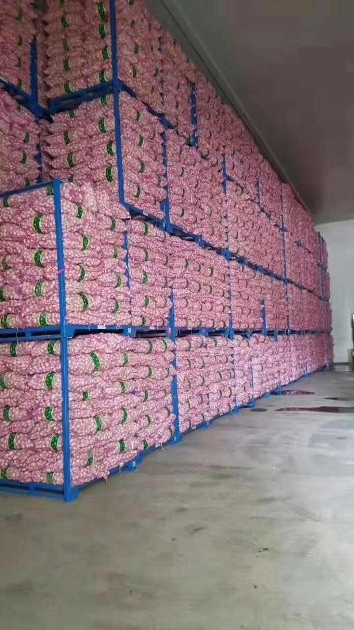 仓储设备展示