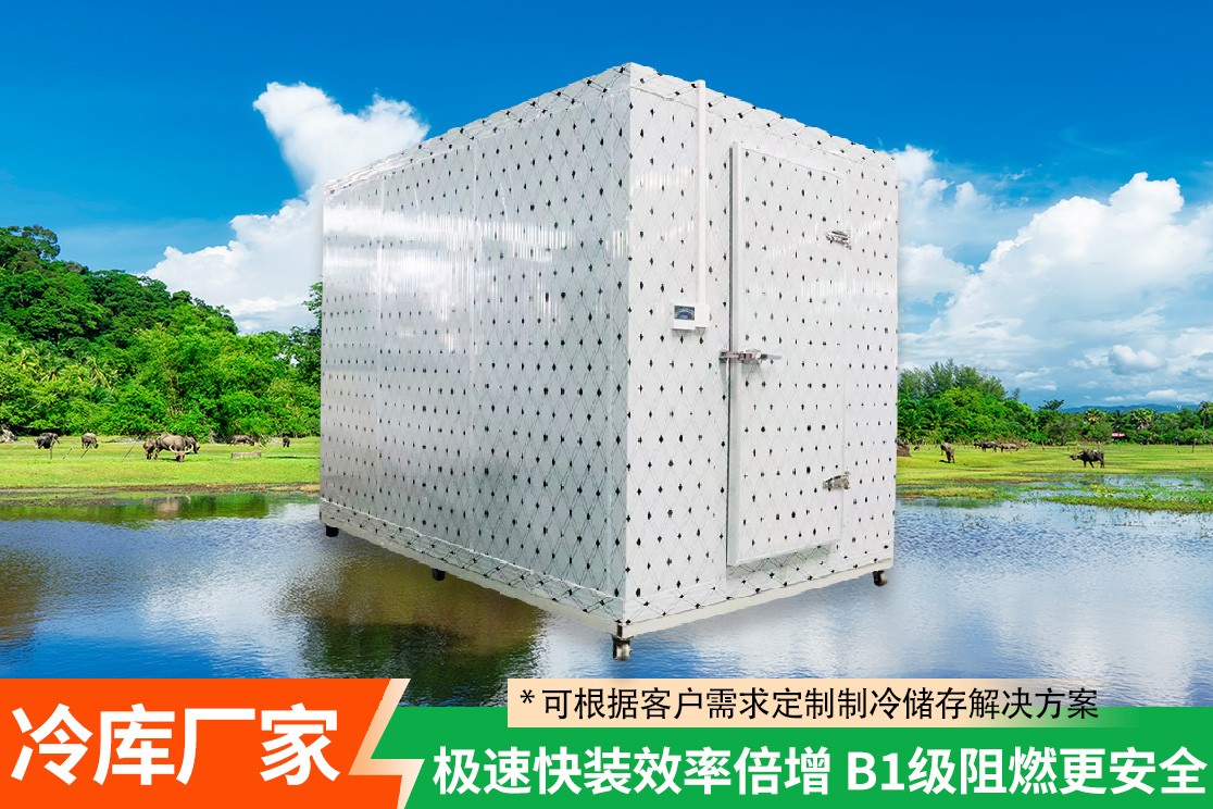 冷链仓储实景参考