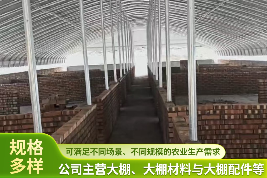 大棚结构改造实拍