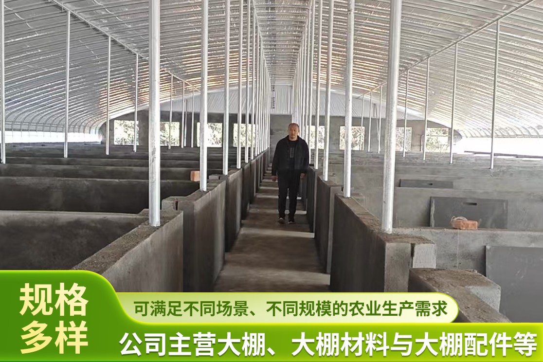 骨架结构与连接节点示意