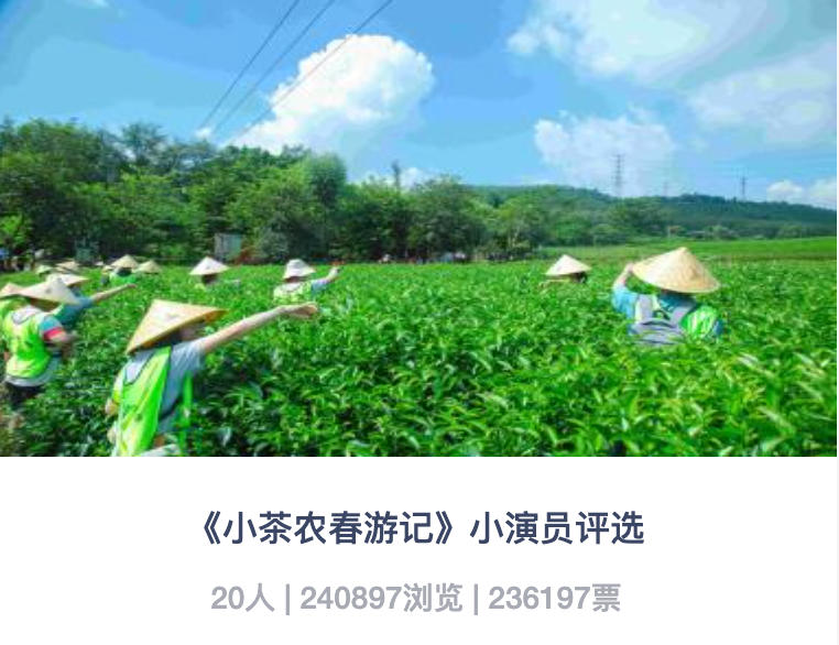 投票系统技术架构示意