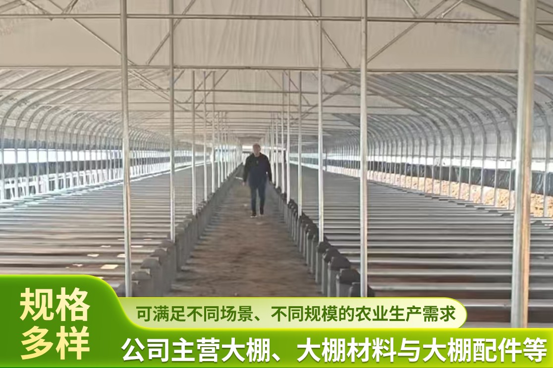 大棚骨架搭建实景图