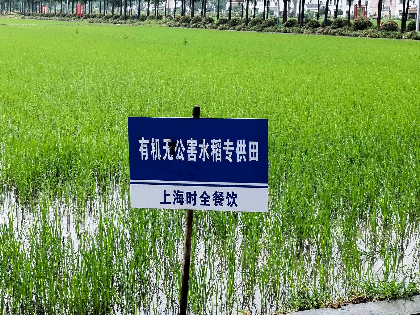 食堂标准化后厨实景