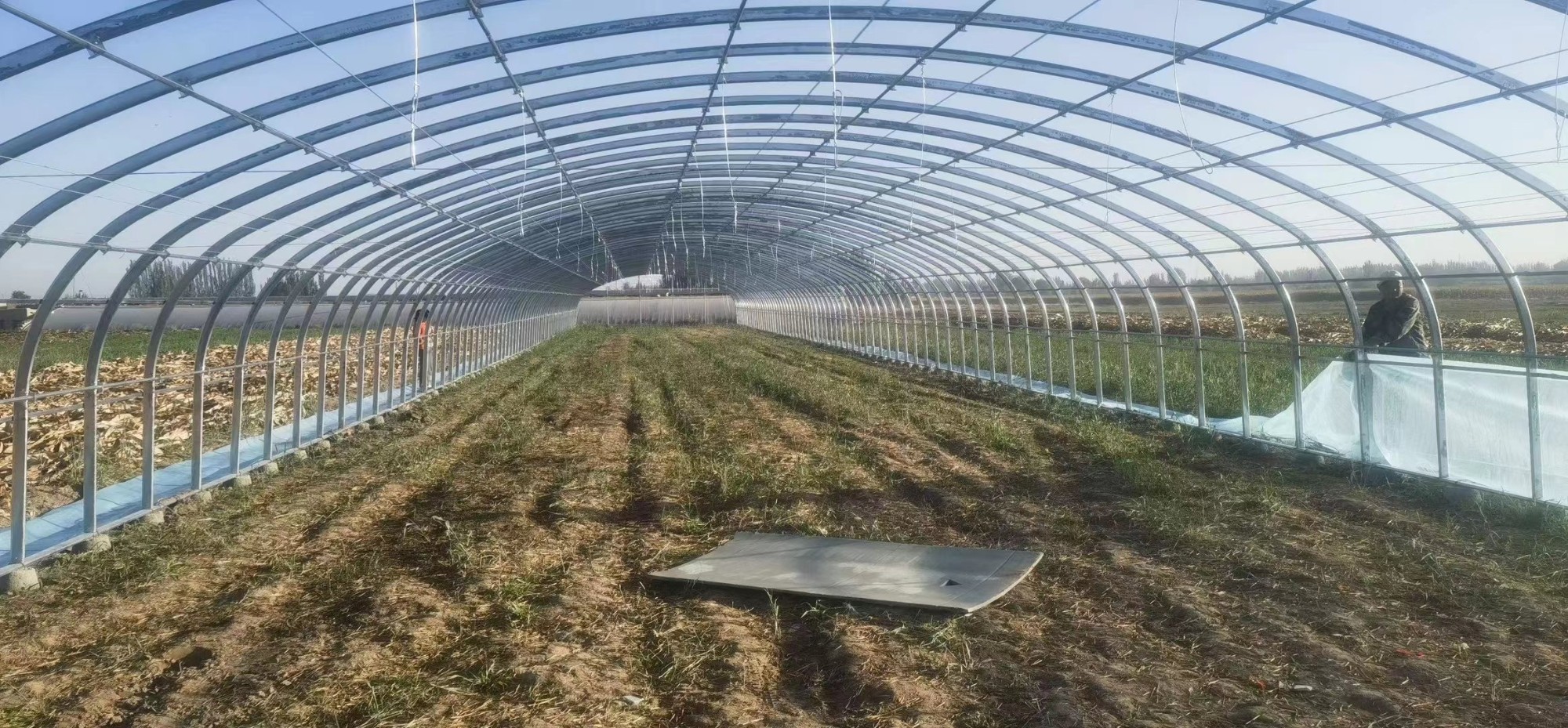 热镀锌大棚管材生产场景