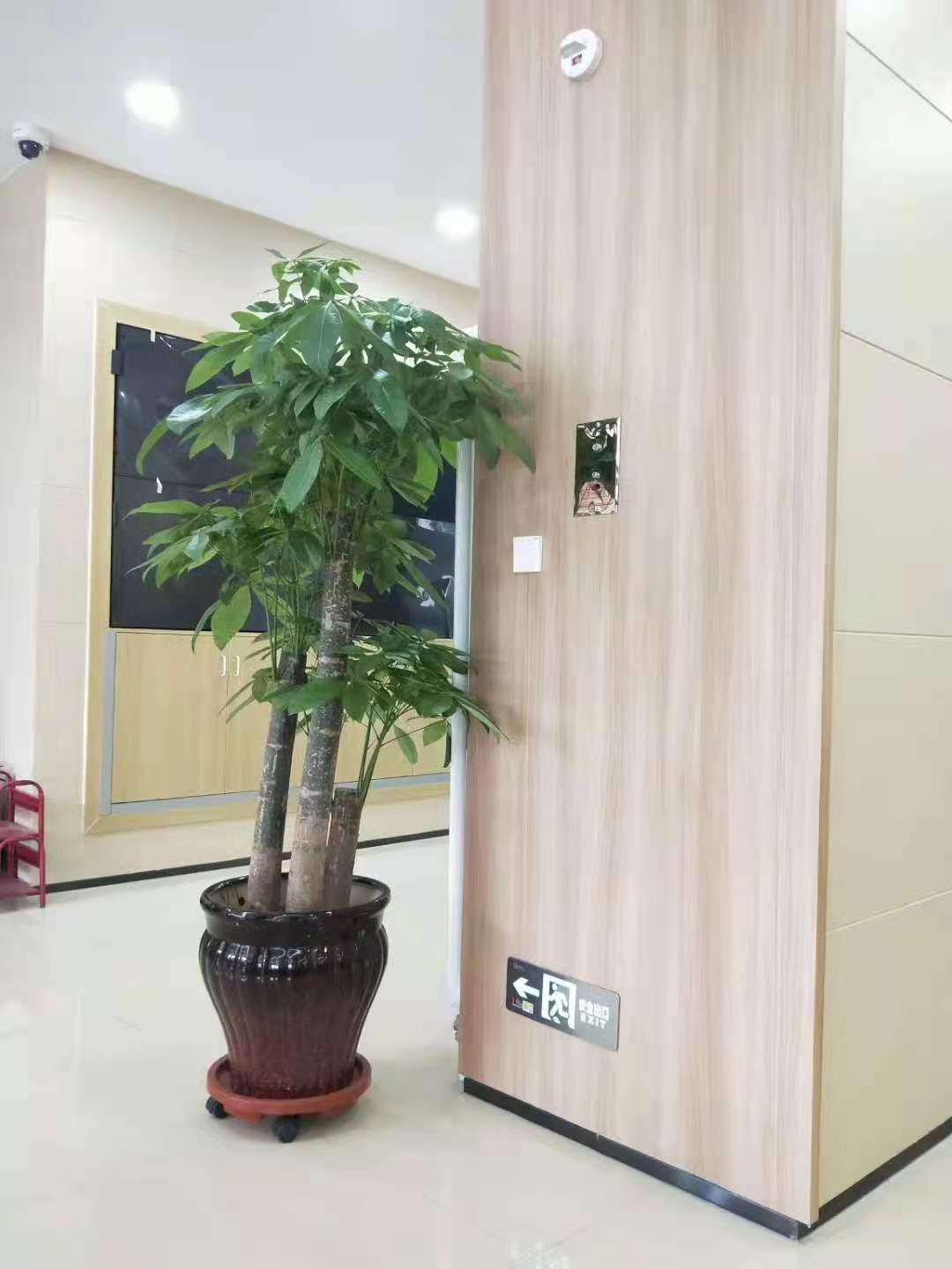 消防应急电源实景应用