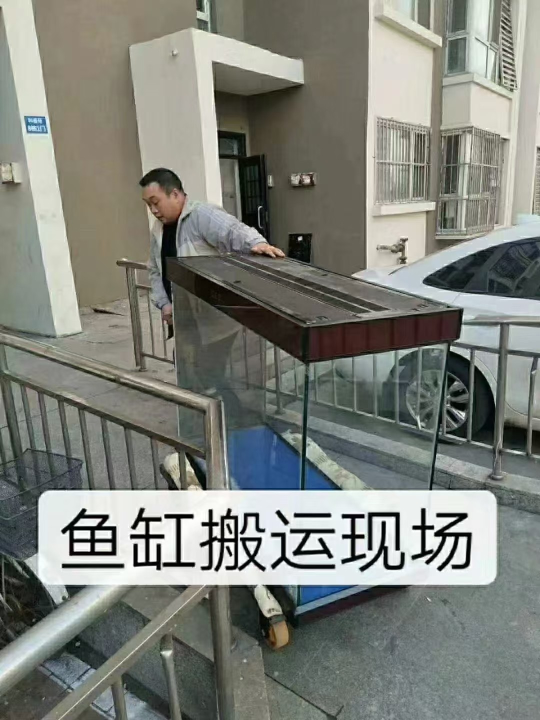 河东区鱼缸搬运服务有哪些？专业对接天津迁之禧搬家服务有限公司