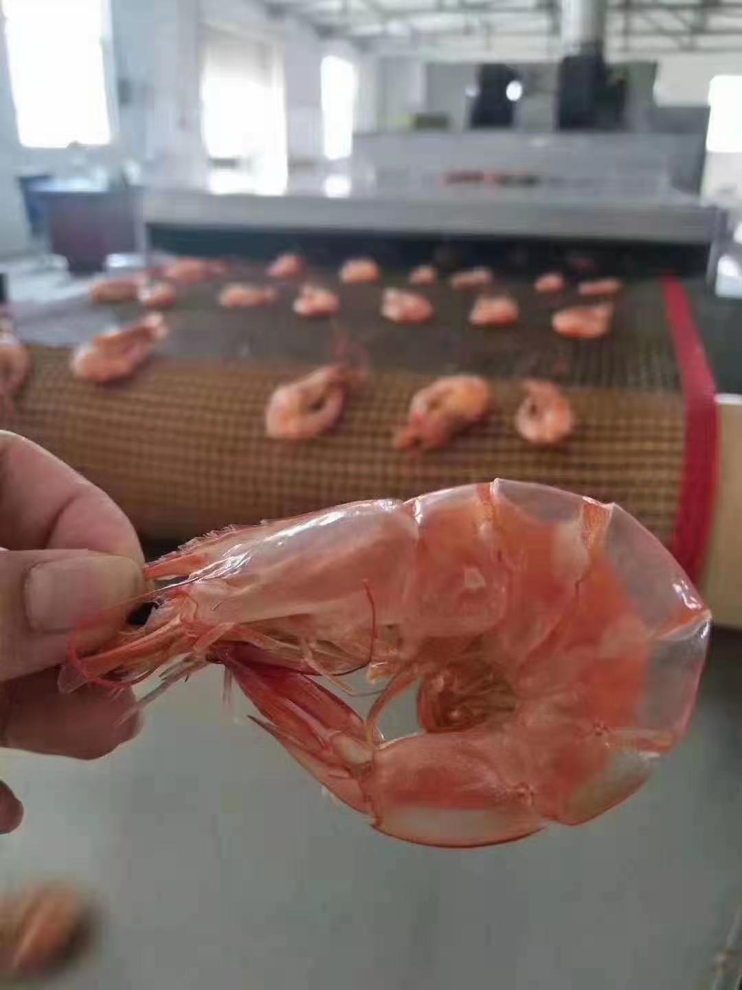 微波熟化设备实景