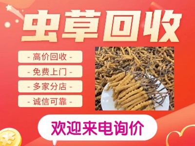 行业服务展示