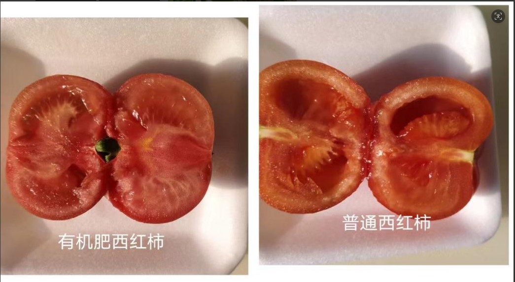 生态农业技术应用场景