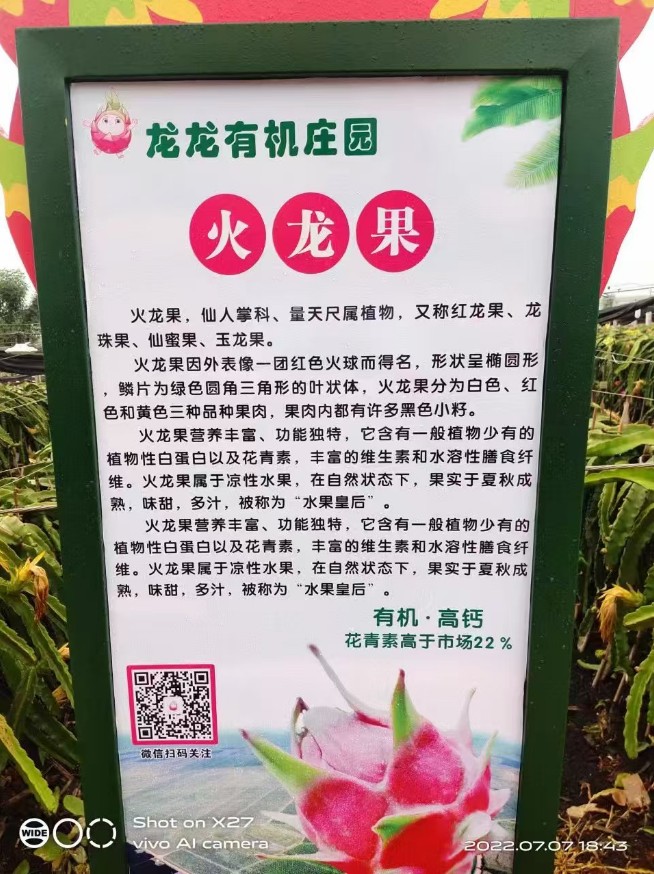 农业生态种植场景