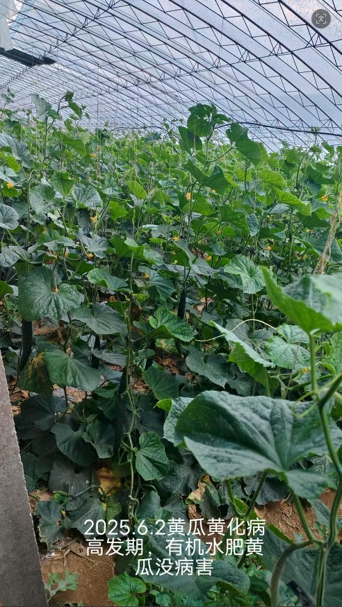 生态养殖与饲料研发
