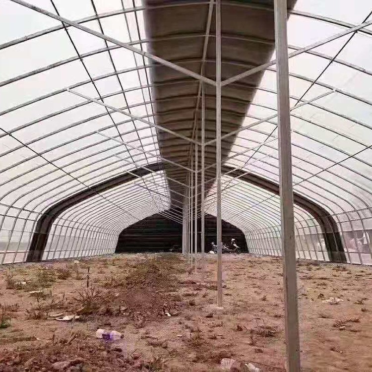 连栋温室主体骨架展示
