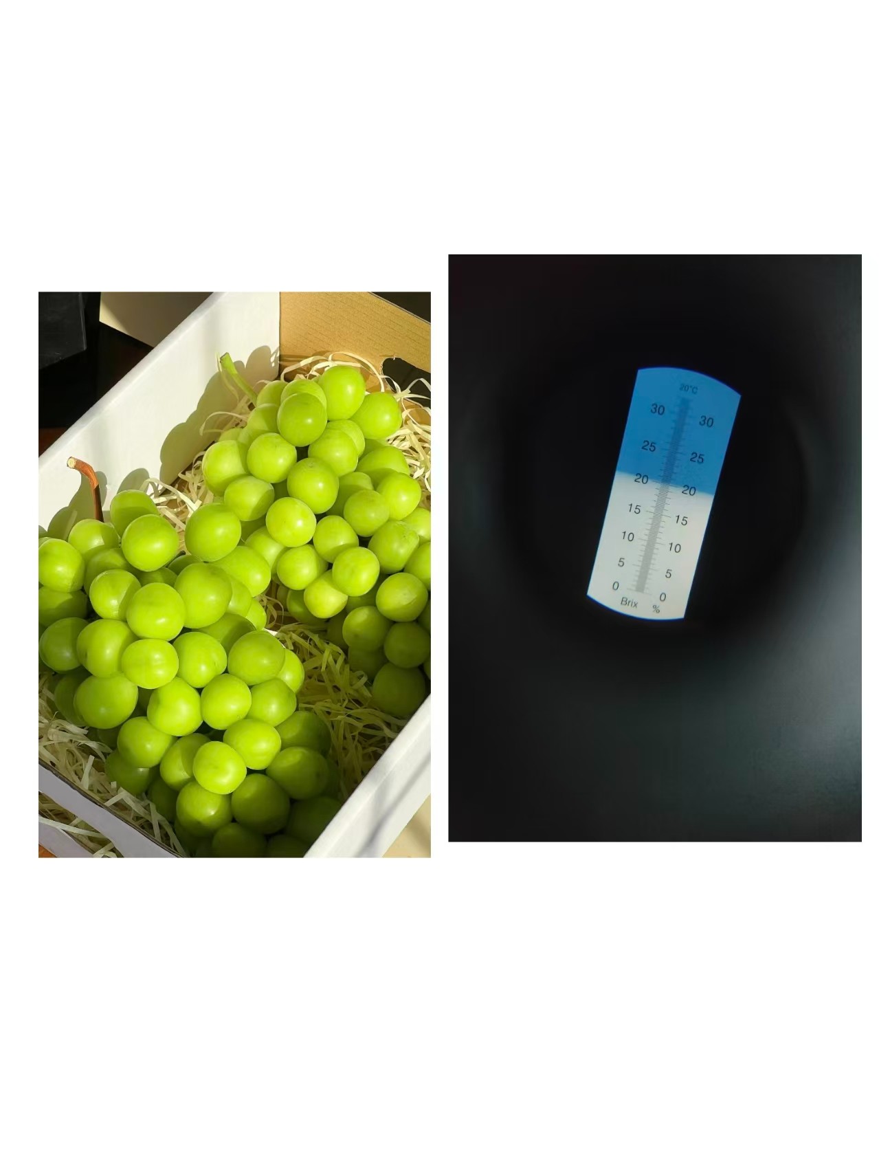 生态养殖技术示意图