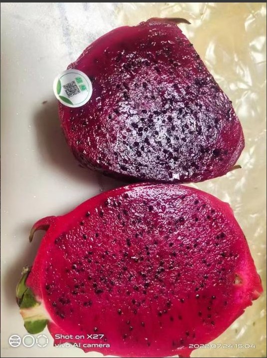 土壤改良与微生物菌群作用示意图