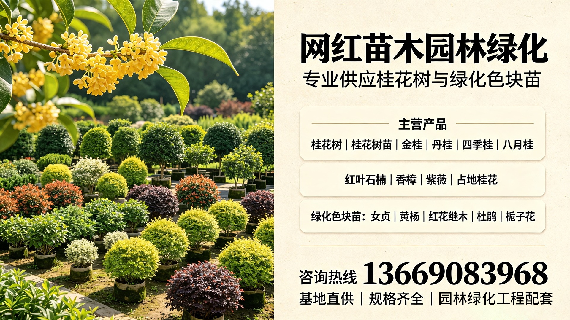 2026年咸安比较好的红叶石楠直销公司怎么选?优选咸安区网红苗木园林绿化 2026年咸安比较好的红叶石楠直销公司怎么选?优选咸安区网红苗木园林绿化