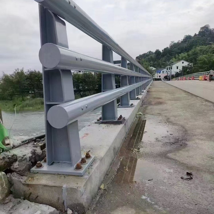 河道护栏实景展示