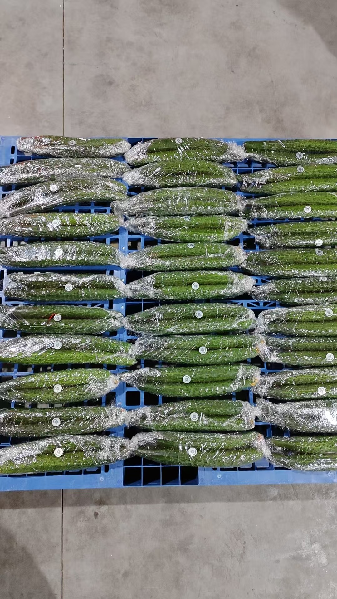 生态种植与土壤治理场景
