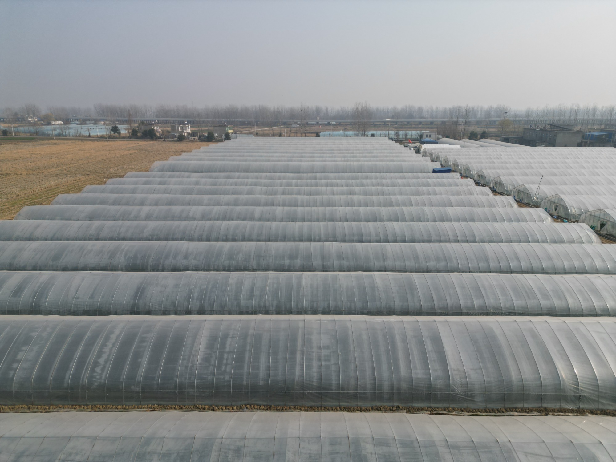 agritech-film-production